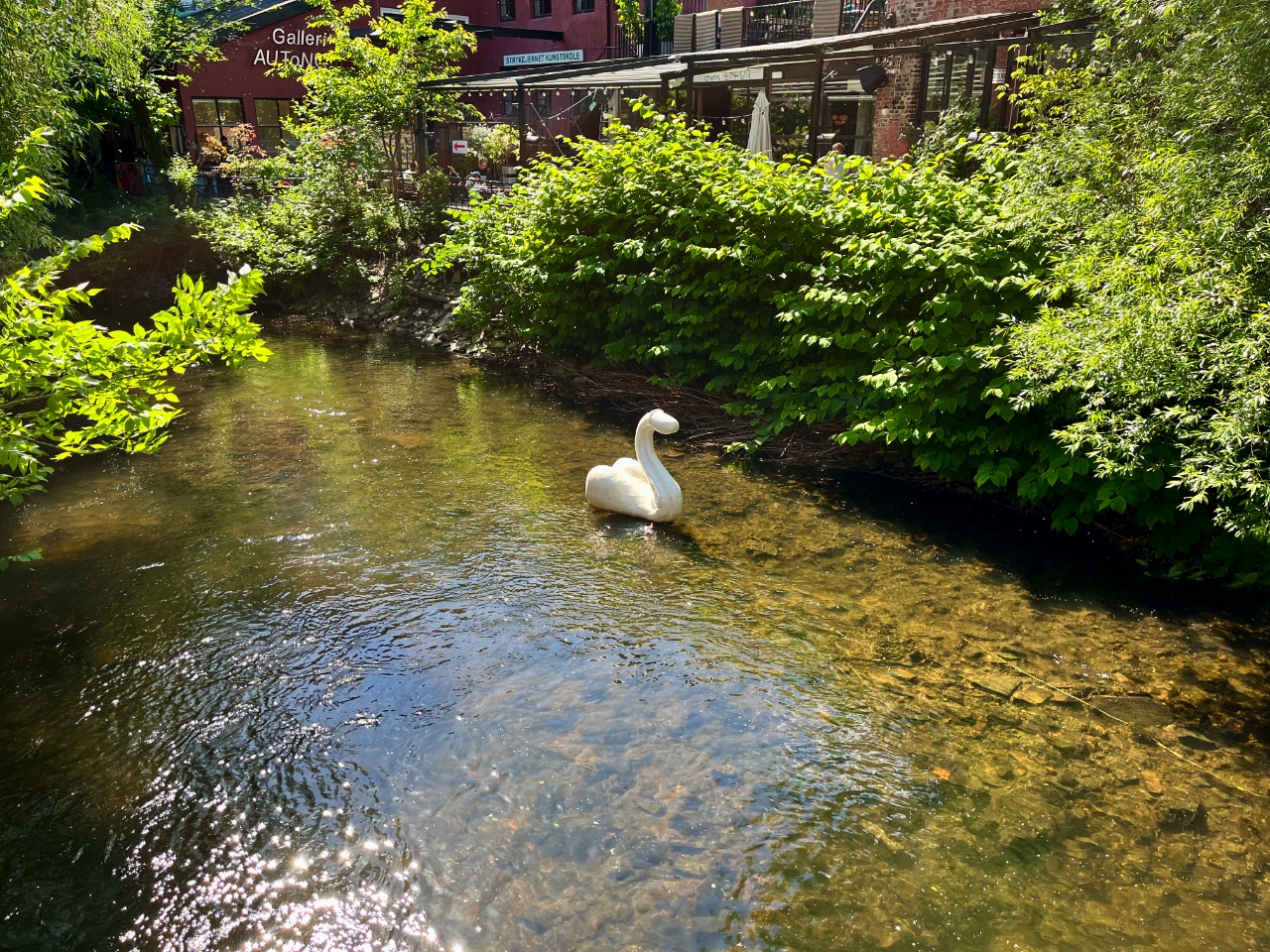 Ein weißer, wie ein Schwan geformter Penis schwimmt auf einem klaren Fluss, umgeben von grüner Vegetation und Gebäuden im Hintergrund.